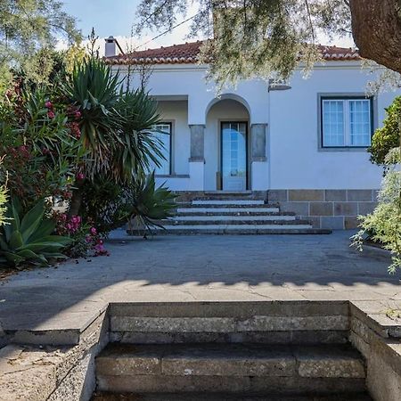 Challet Ericeira Villa Eksteriør billede