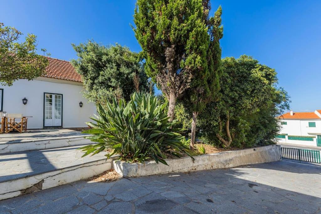 Challet Ericeira Villa Eksteriør billede